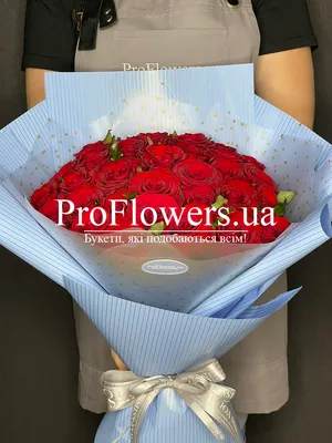 Букет из 23 красных и белых роз Фридом и Мондиаль (02216) купить с  доставкой в Архангельске