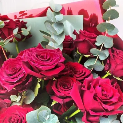Букет из 23 розовых роз Эквадор (50см) за 5990р. Позиция № 871