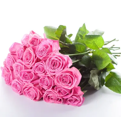 1️⃣ Букет из 23 роз – заказать с доставкой в Алматы от PRO-BUKET!