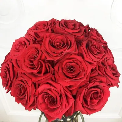 Заказать 23 розы FL-2562 купить - хорошая цена на 23 розы с доставкой -  FLORAN.com.ua