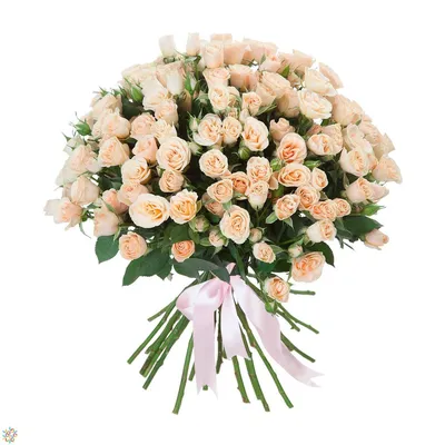 25 кремовых кустовых роз - купить в Москве по цене 9190 р - Magic Flower