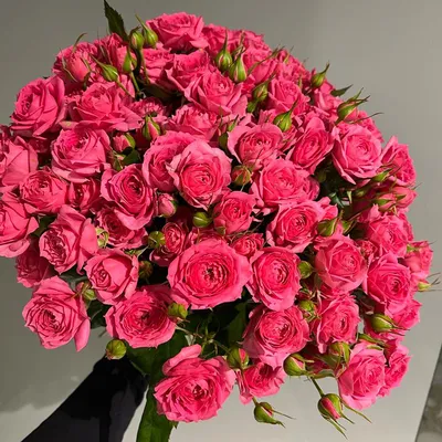 25 кустовых роз Silver Shadow купить от 4700 рублей в Спб с доставкой |  Fleur de Lys