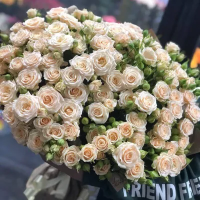 Букет из 25 роз \"Малиновая кустовая роза\" – купить недорого с доставкой по  Москве