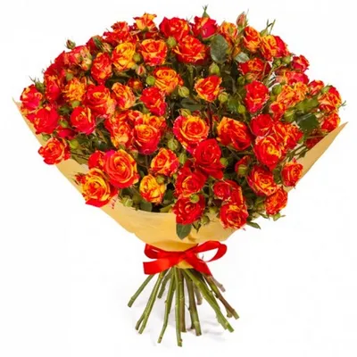 Букет из 25 розовых кустовых роз 40 см (Кения) купить в СПб в  интернет-магазине Семицветик✿