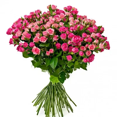 Букет из 25 кустовых роз, артикул: 333032391, с доставкой в город Москва  (внутри МКАД)