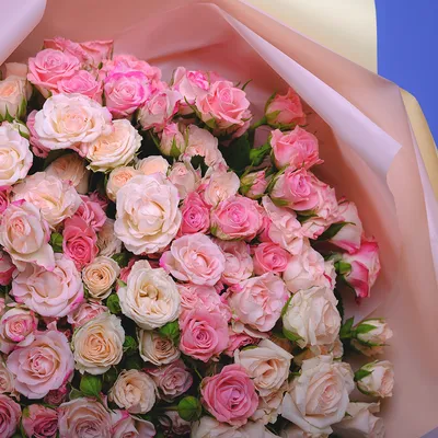 Букет из 25 кустовых роз \"Пинк Дайменшес\" купить в Курске | заказать живые  цветы с доставкой на дом или самовывоз