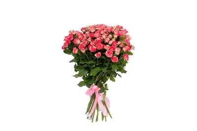 Букет из 25 красных кустовых роз купить в Москве - цена 7 500 руб c  бесплатной доставкой ✿ Интернет-магазин Bella Roza