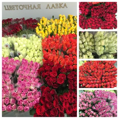 Букет из 25 красных роз 40 см» - купить во Владивостоке за 5 130 руб