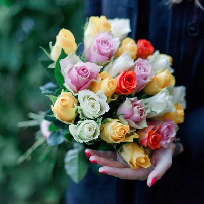 Розы 25 шт 40 см Кения красные арт. 10154 - Просто роза ру — купить в  интернет-магазине по низкой цене на Яндекс Маркете