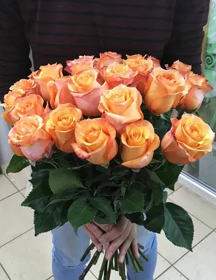 АКЦИЯ от 25 роз! Розы КЕНИЯ 40 см