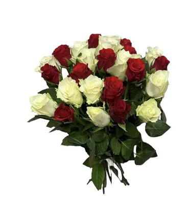 Букет 25 красных роз 40 см в Санкт-Петербурге. Красные от официального  производителя с доставкой.
