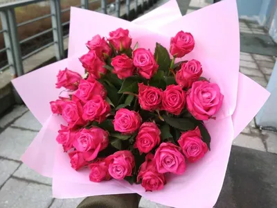 25 кремовых роз (Россия) 40 см Пич Аваланш купить с доставкой в  интернет-магазине Семицветик в Москве