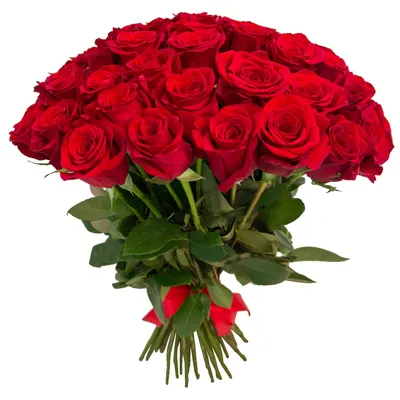 Букет из 25 роз Каппучино ( 40 см ) за 4290р. Позиция № 3934