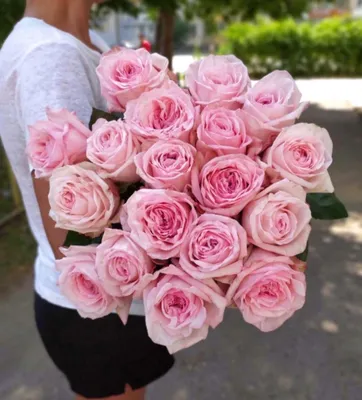 25 Роз 40 см розовых - купить в интернет-магазине Орхидея