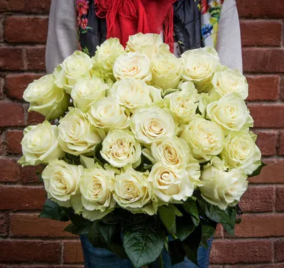 Купить букет живых цветов из 25 малиновых роз 40см в крафте, Букет Маркет,25  роз 40 см.B2007, цены на Мегамаркет | Артикул: 600011477244