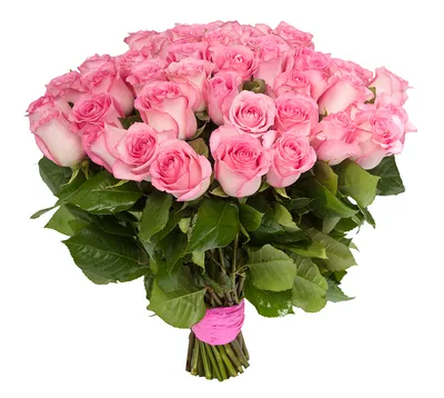 Купить букет из 25 роз от 1475 руб в СПб | Розы Оптом