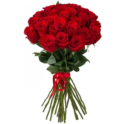 Купить 27 роз недорого с доставкой в Челябинске