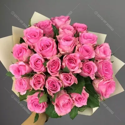 Купить красные розы Киев №27 (25 штук) | Доставка от 2-х часов | Заказ роз  по низкой цене.