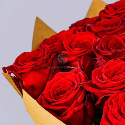 Заказать \"27 роз\" | Цветули - уникальный сервис по доставке цветов без  накруток и посредников в городе Кинешма