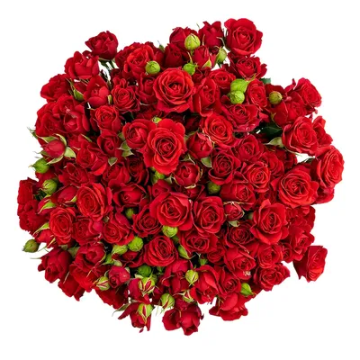 Купить Букет из 27 роз Талея на сайте магазина Цветочный Рай в Новороссийске