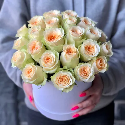 Букет из 27 роз - Доставкой цветов в Москве! 46527 товаров! Цены от 487  руб. Цветы Тут