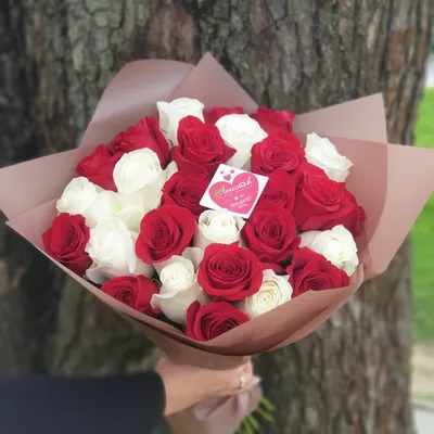Букет из 27 красных кустовых роз Мирабель (01726) купить с доставкой в  Архангельске