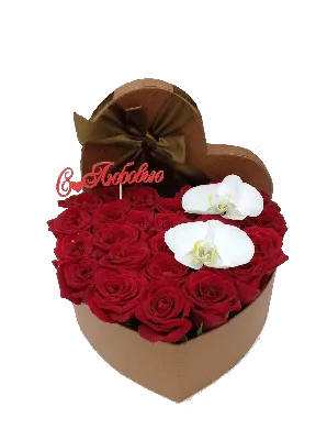 Букет роз в упаковке (27 роз) | PukuPiegade.lv/ru