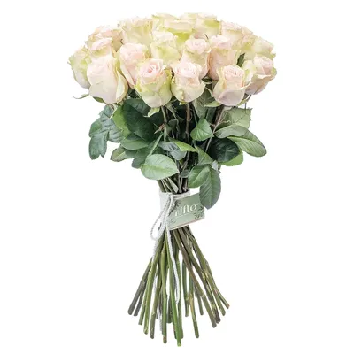 27 волнистых роз, артикул F1232343 - 4150 рублей, доставка по городу.  Flawery - доставка цветов в Челябинске