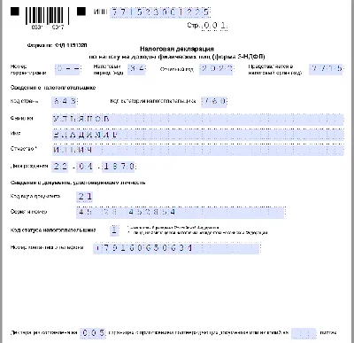 В налоговую декларацию 3-НДФЛ планируется внести изменения :: Profiz.ru