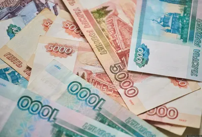 На Алтае педагогам-наставникам заплатят по 300 тысяч рублей | ОБЩЕСТВО |  АиФ Барнаул