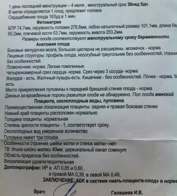 1-10 неделя беременности. Что происходит с малышом? | Клуб лучших мам! |  Дзен