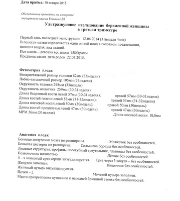 История ребенка, родившегося с экстремально низкой массой тела — 700  граммов, — какие у них могут развиться пороки - 25 декабря 2022 - 76.ру