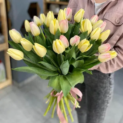 33 тюльпана микс — Цветы для тебя