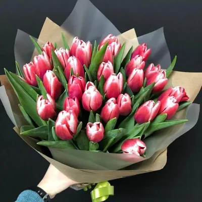 Купить Букет из 33 тюльпанов на сайте магазина Цветочный Рай в Новороссийске