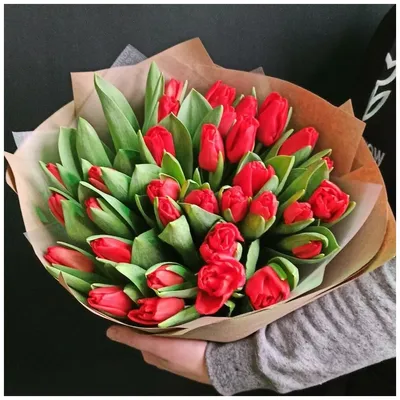 Букет из 33 красных тюльпанов — купить в интернет-магазине по низкой цене  на Яндекс Маркете