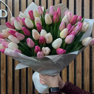 Букет из 33 белых тюльпанов (01904) купить с доставкой в Архангельске