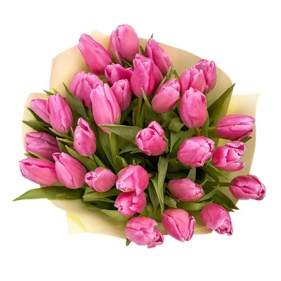 Букет из 33 Тюльпанов | Студия доставки цветов Азалия - Барнаул