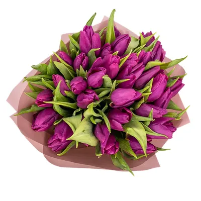 Букет тюльпанов, розовый 33 см одна ветка 18606-006 (ID#1344118155), цена:  240 ₴, купить на Prom.ua