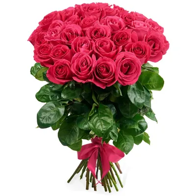 Bouquet of 35 roses - order and send for 58 $ with same day delivery -  MyGlobalFlowers