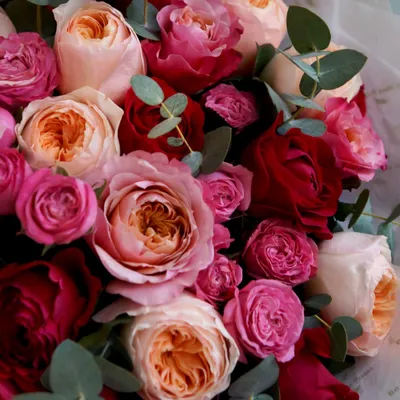 Розы Кения (30-35 см) (без упаковки) / Монобукеты / Цветы / Каталог /  «Глазурь» - доставка цветов