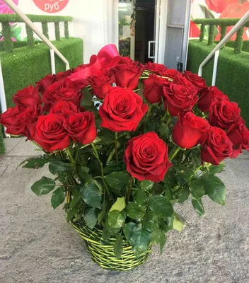 Розы в Щёлково | Купить Букет из 39 красных крупных роз с доставкой |Lilium