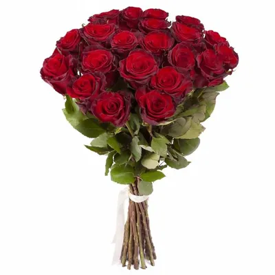 Букет микс из 39 роз (50см) – заказать в Красноярске в компании «Ромашково»