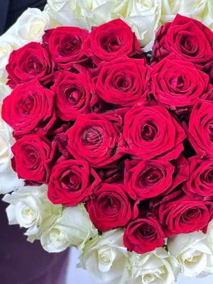 Букет из 39 роз - купить Букет из роз ☎ 8 (964) 914-35-62 Быстрая  Бесплатная Доставка по Краснодару✓ Моre Цветов