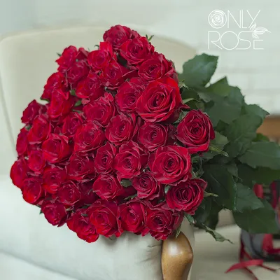 Купить букет 39 малиновых роз (50 см.) по доступной цене с доставкой в  Москве и области в интернет-магазине Город Букетов