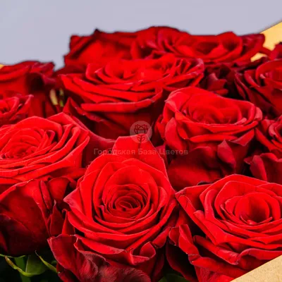 Букет из красных роз - заказать доставку цветов в Москве от Leto Flowers