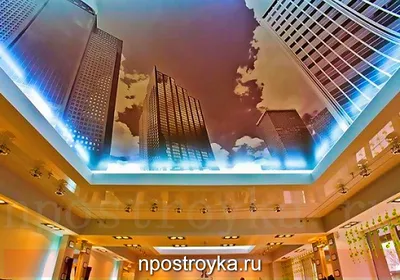 Натяжные потолки с фотопечатью с 3D эффектом, цены с установкой – Сеньор- Потолок