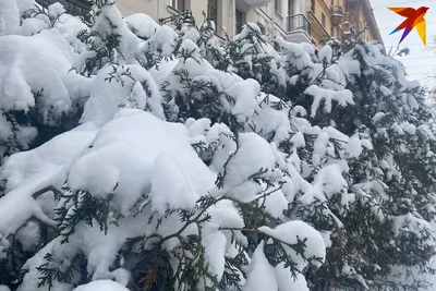 Введение Богородицы во Храм: праздник 4 декабря