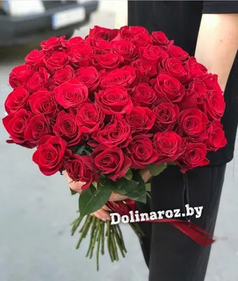Купить букет из 41 эквадорской красной розы в Минске