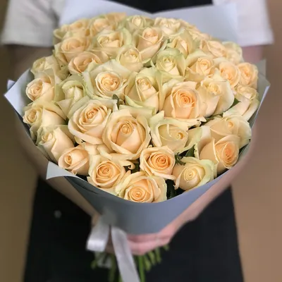 41 розу купить в Минске c доставкой недорого | Цена и фото