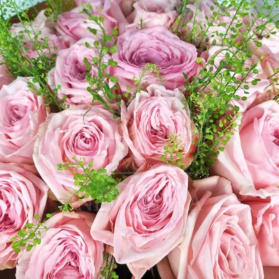 Необыкновенные розы от 41 шт. за 9 190 руб. | Бесплатная доставка цветов по  Москве